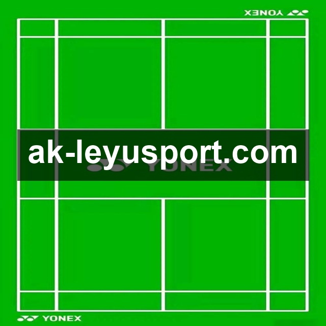 乐鱼体育 精彩赛事